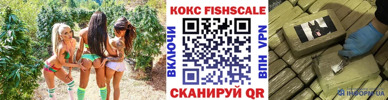 купить   omg маркетплейс  Cocaine Боливия  Верхняя Пышма 