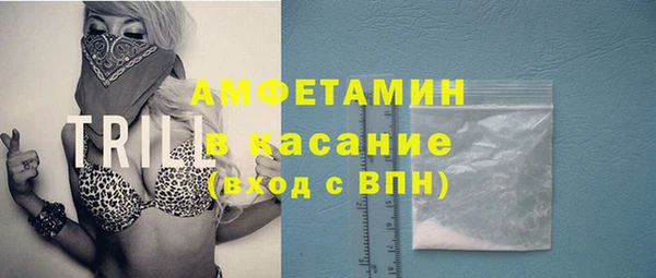 прущие грибы Белокуриха