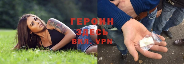 прущие грибы Белокуриха