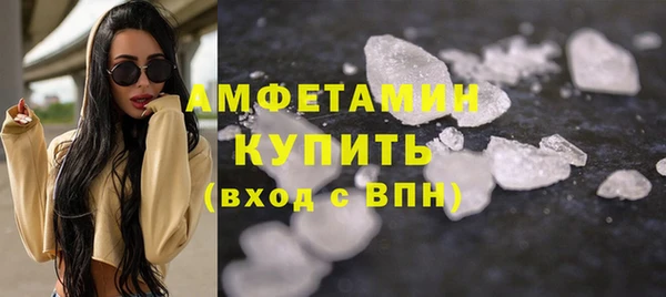 прущие грибы Белокуриха