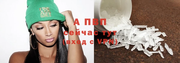 прущие грибы Белокуриха