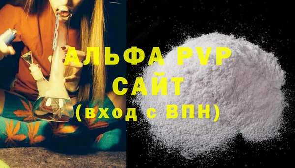 прущие грибы Белокуриха