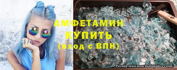 прущие грибы Белокуриха