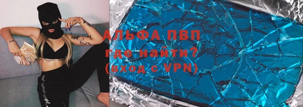 прущие грибы Белокуриха
