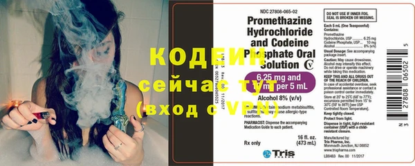 прущие грибы Белокуриха