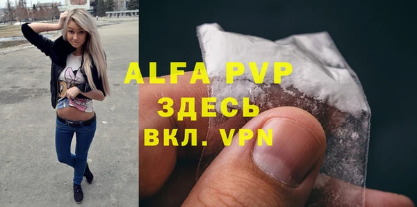 прущие грибы Белокуриха