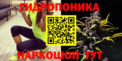 кокс Волжский