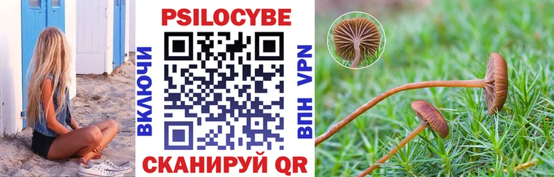 mega вход Верхняя Пышма Псилоцибиновые грибы MAGIC MUSHROOMS купить сайты