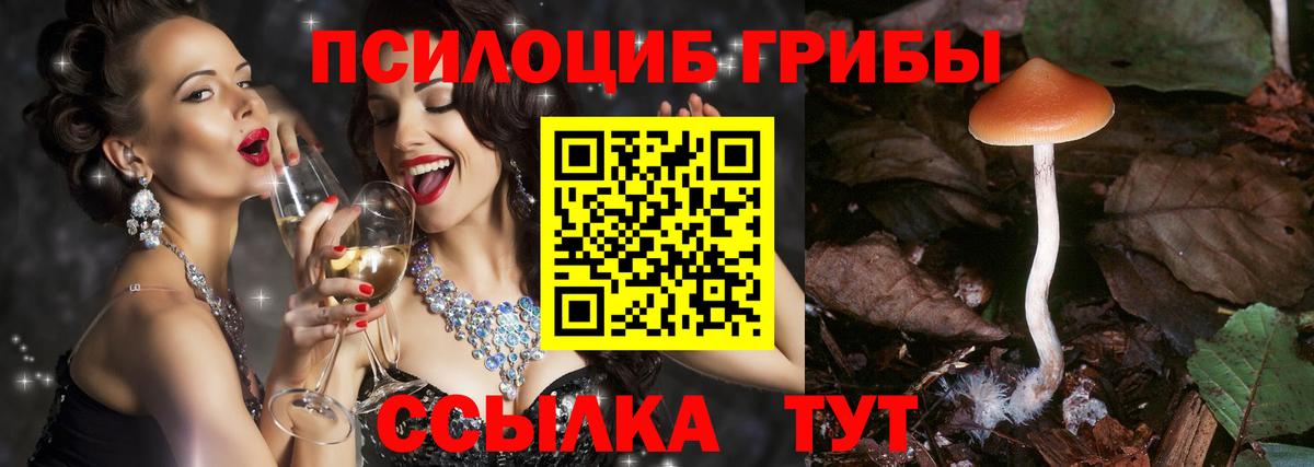 Амфетамин   КОКАИН  Верхняя Пышма  Вход с VPN  ГАШ  Мефедрон   Канабис 